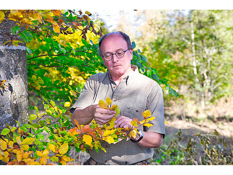 Förster Otto Ketterl