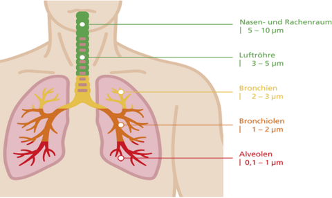 Gesundheitliche Auswirkungen einer Feinstaubbelastung.