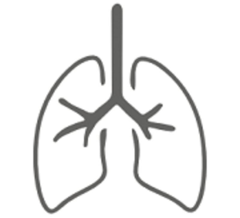 ABBILDUNG DER LUNGE