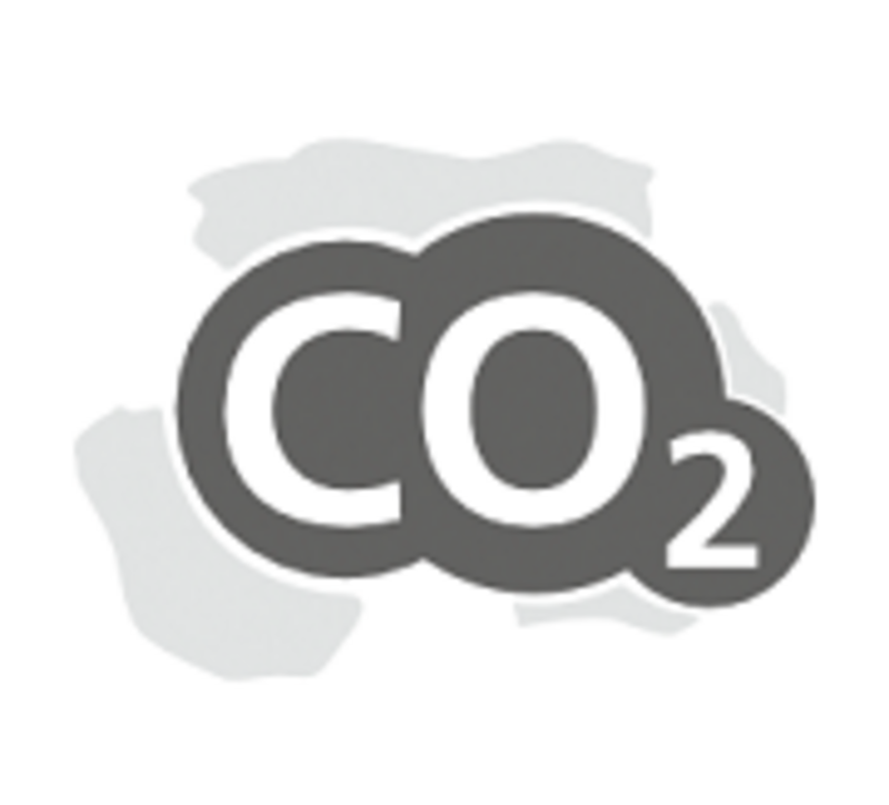 CO2 BINDUNG