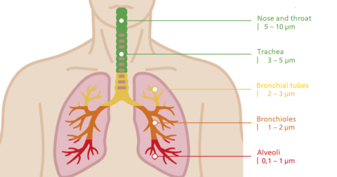 Harmful effects of particulate matter pollution.