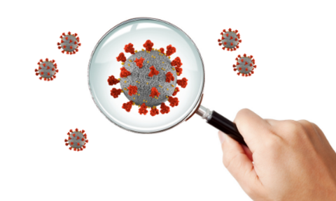 Coronavirus