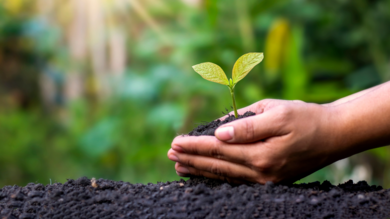 Der Einsatz von ESTA Absauganlagen in der Recycling-und Umwelttechnik.